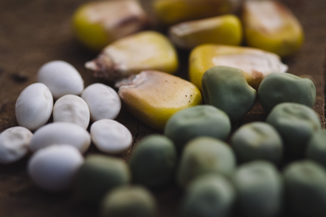 ★米袋で中身が変わる？★遺伝子組み換え反対の福岡大会開催　ケロケロ通信　第39号