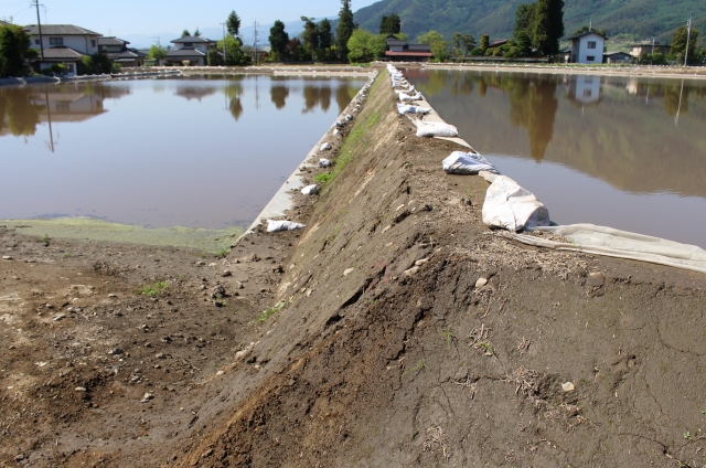 ★危険な肥料残留農産物　★圃場整備が始まりました　ケロケロ通信　第63号