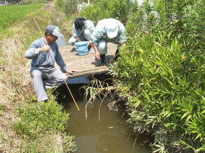 全国田んぼの生き物調査