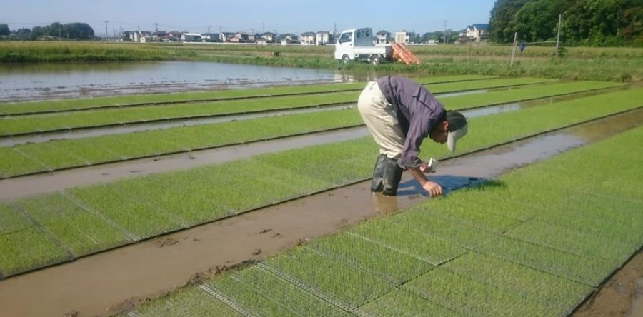 欠株が出来るだけ少なくなるように