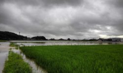 記録的大雨による冠水
